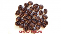 Cà phê Robusta S18 CBK trái chín 98%